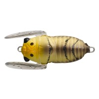 Soft Shell Cicada SSC-122 Brown Moth