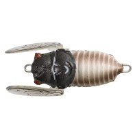 Soft Shell Cicada SSC-122 