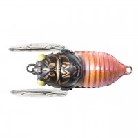 Soft Shell Cicada SSC-123