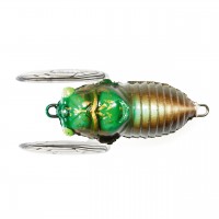 Soft Shell Cicada SSC-183