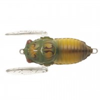Soft Shell Cicada SSC-043
