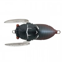 Soft Shell Cicada SSC-049