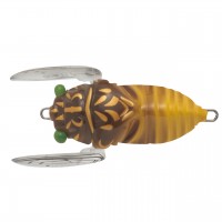 Soft Shell Cicada SSC-062