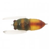 T.Trout Tiny Cicada TTTC-043