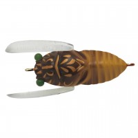 T.Trout Tiny Cicada TTTC-062