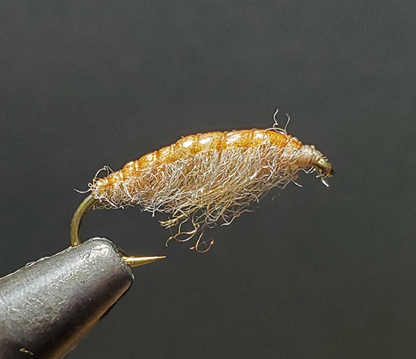 フィールドの様子