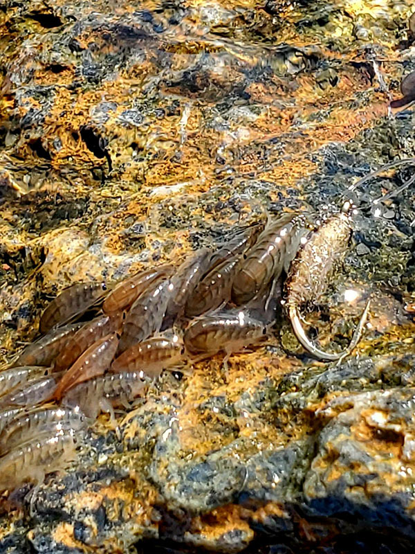 フィールドの様子