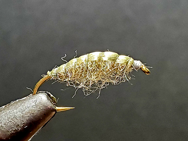 フィールドの様子