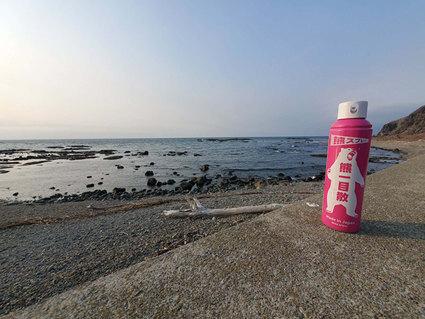 フィールドの様子