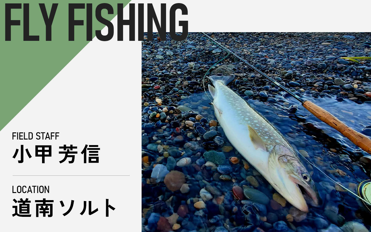 記事メイン画像