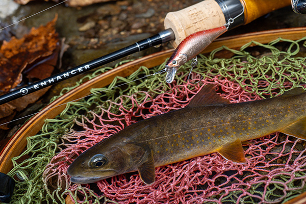 フィールドの様子