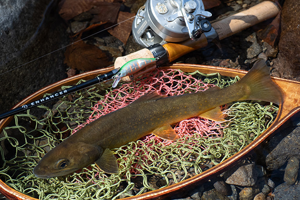 フィールドの様子