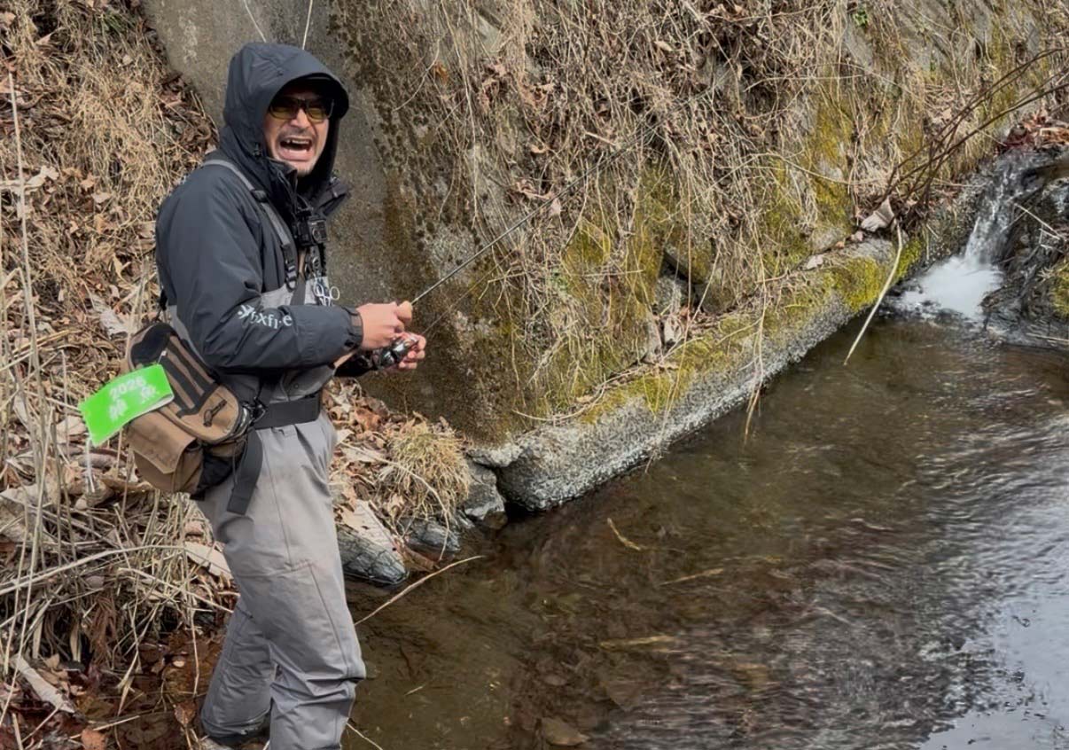 フィールドの様子