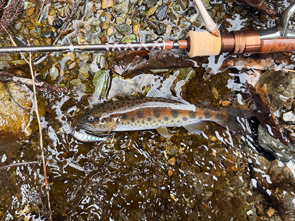 フィールドの様子