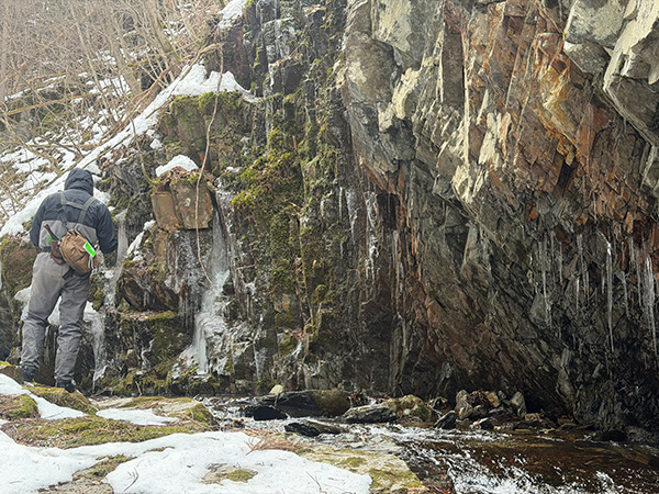 フィールドの様子