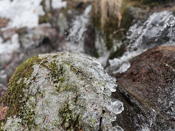 フィールドの様子