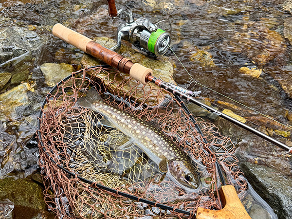 フィールドの様子
