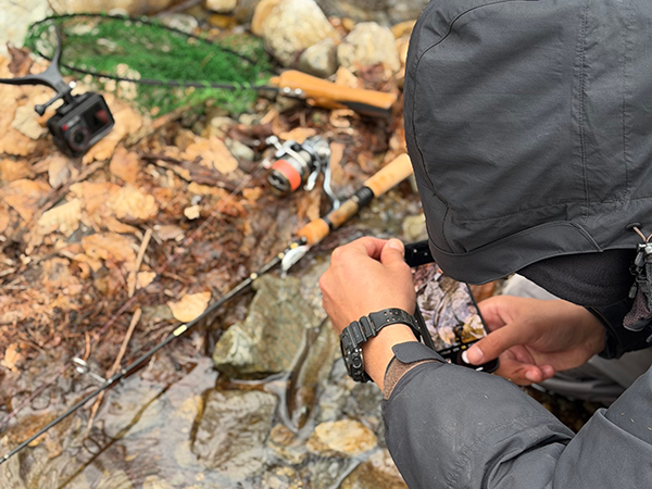 フィールドの様子