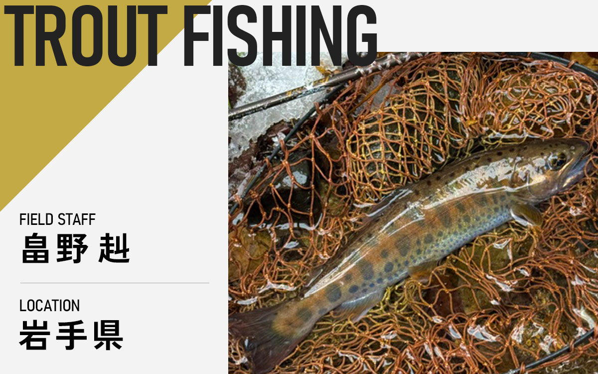 記事メイン画像