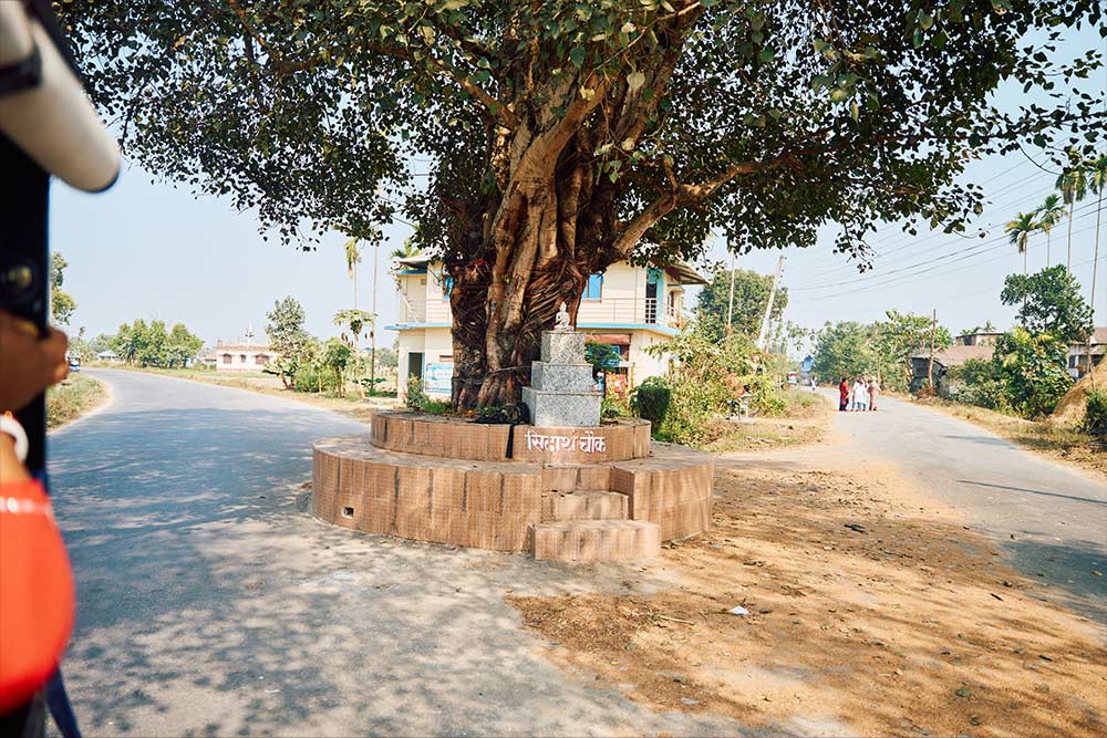 フィールドの様子