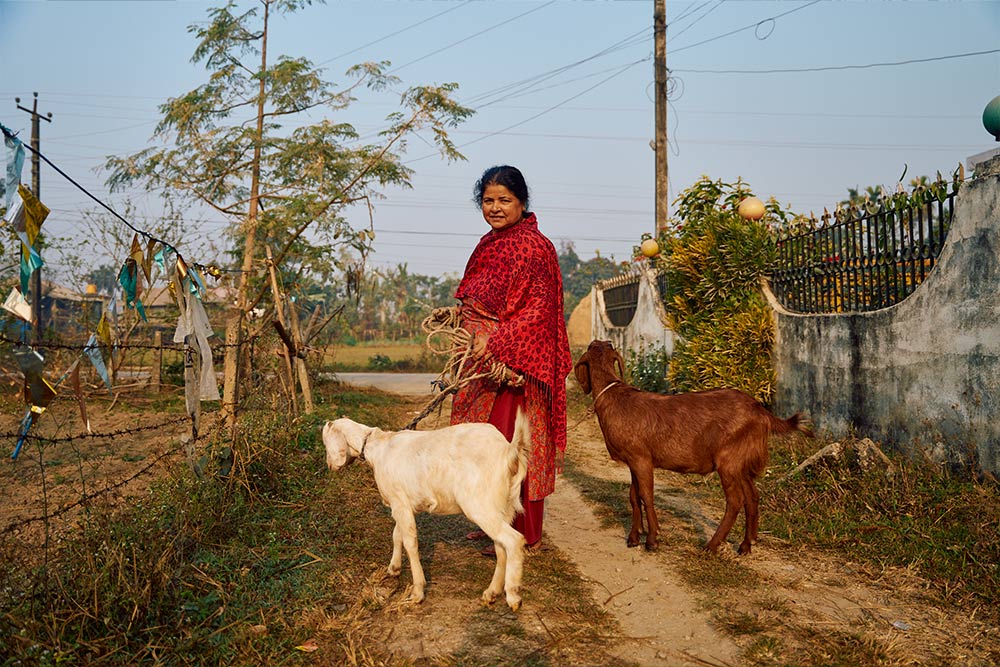 フィールドの様子