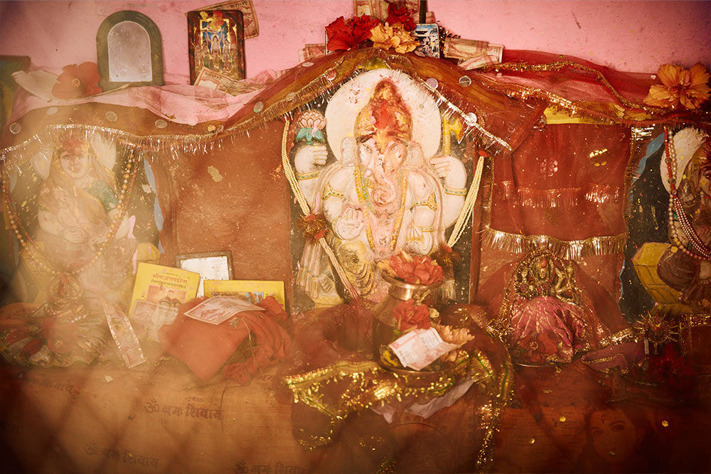 フィールドの様子