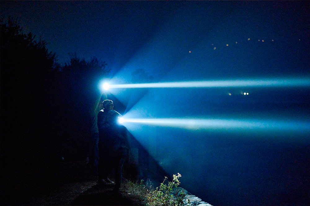 フィールドの様子