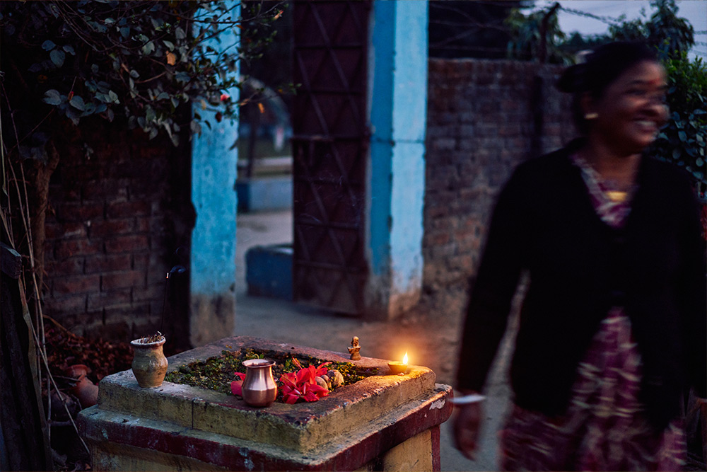 フィールドの様子