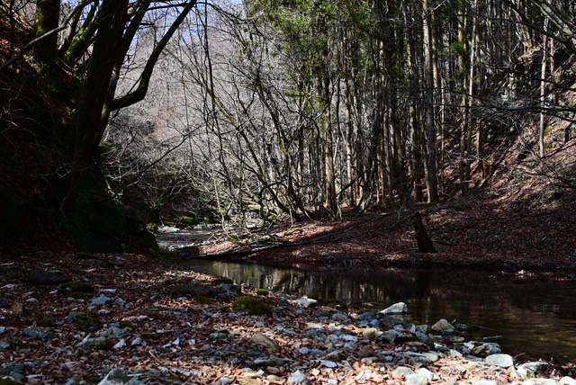 フィールドの様子