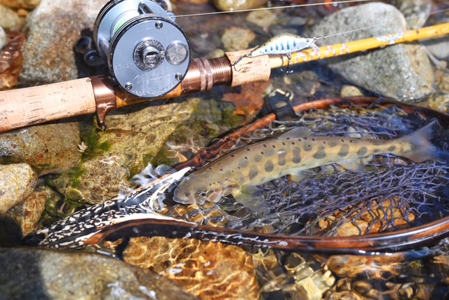 フィールドの様子