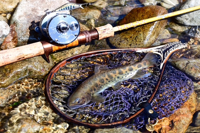 フィールドの様子