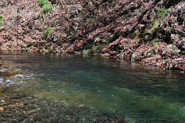 フィールドの様子