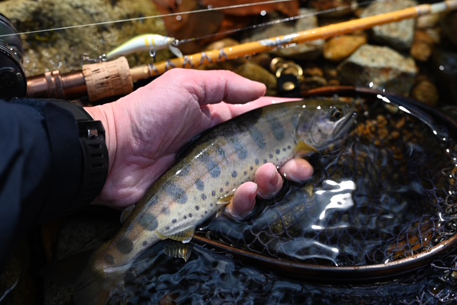 フィールドの様子