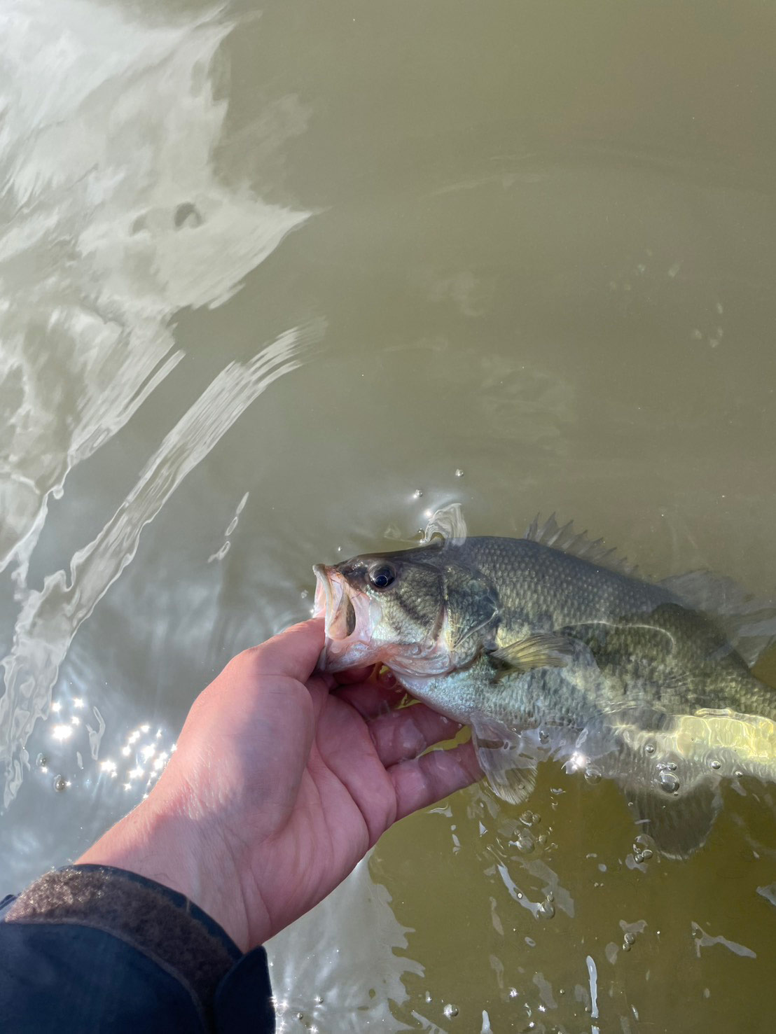 フィールドの様子