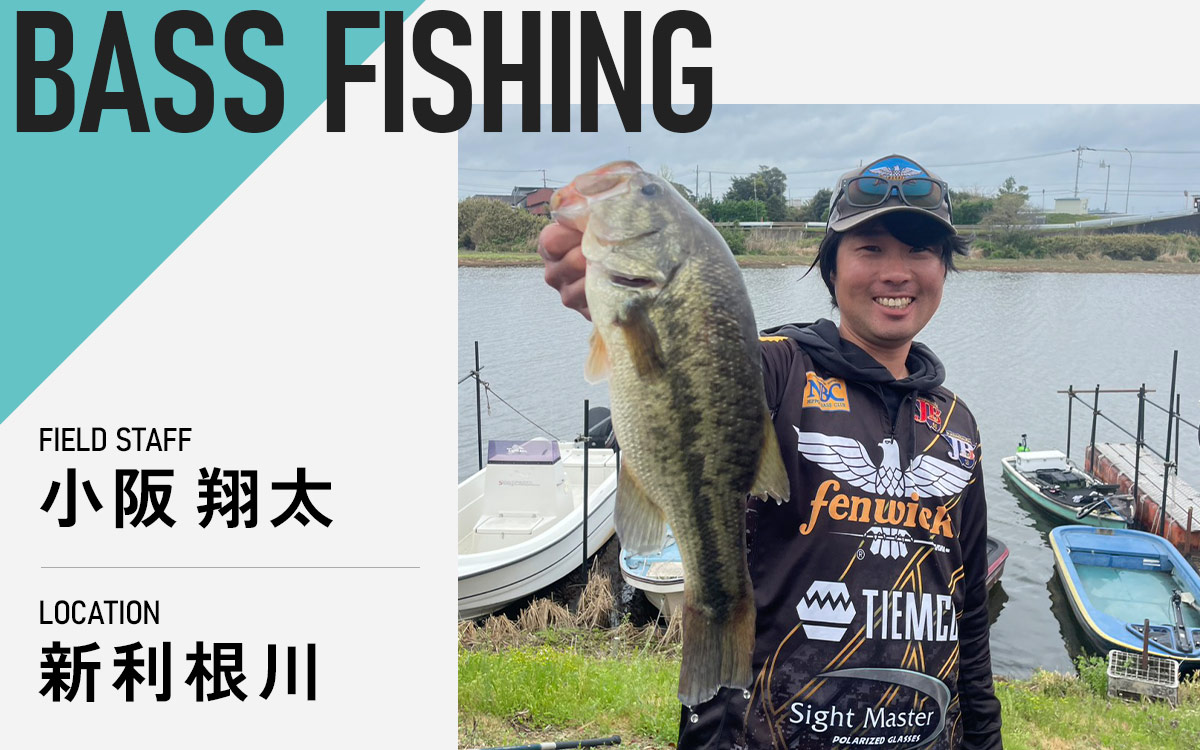 記事メイン画像