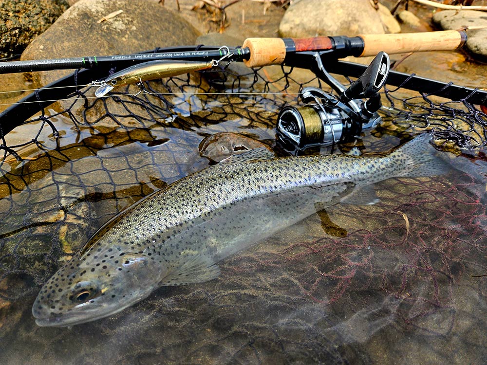 フィールドの様子