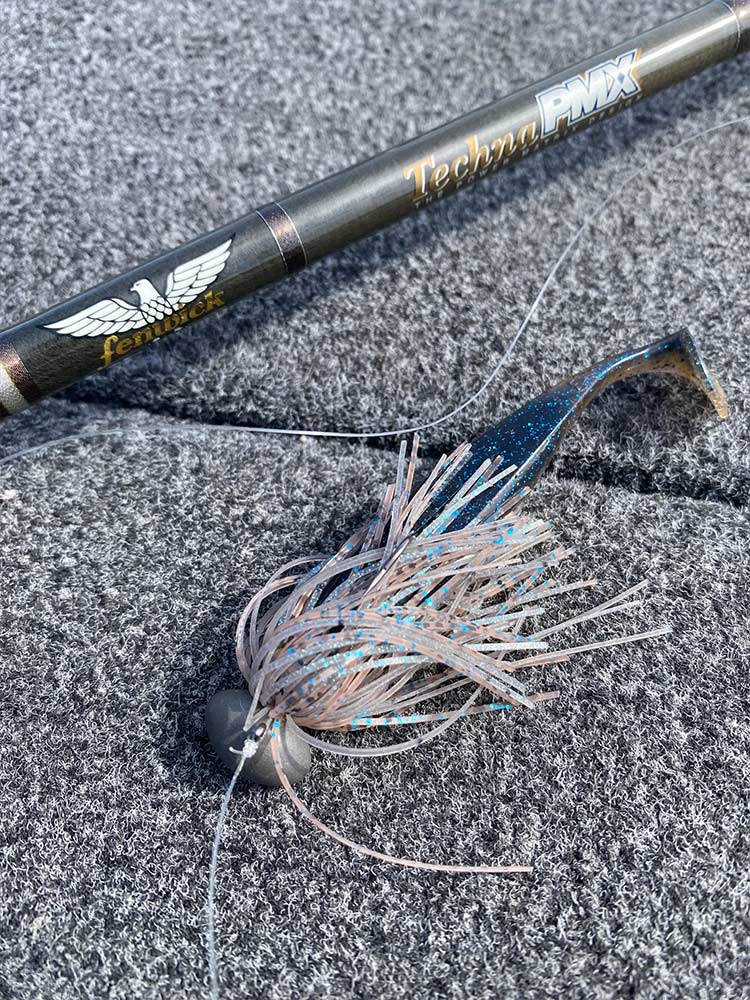 フィールドの様子