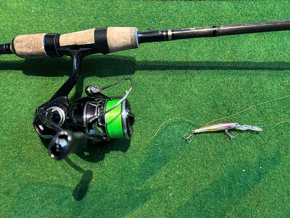 フィールドの様子