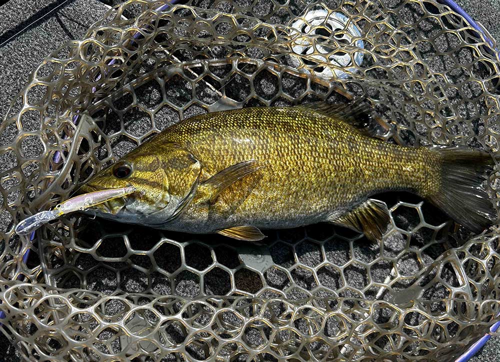 フィールドの様子