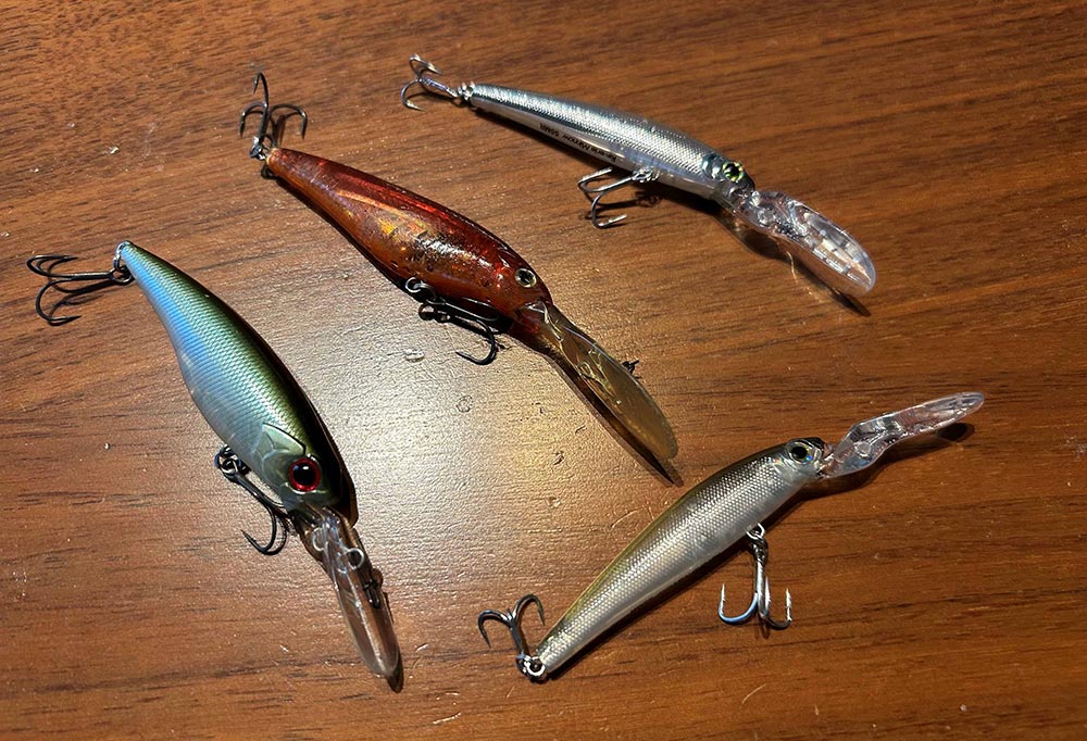 フィールドの様子