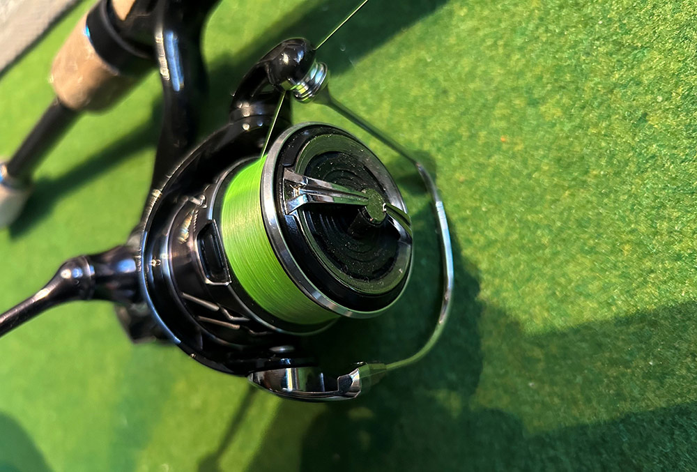 フィールドの様子