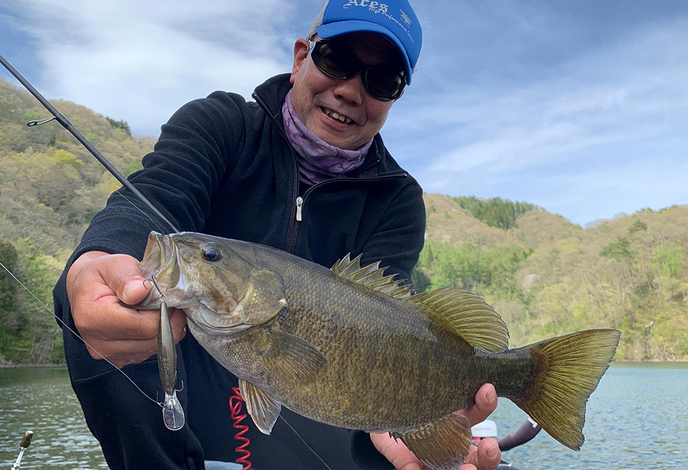 フィールドの様子