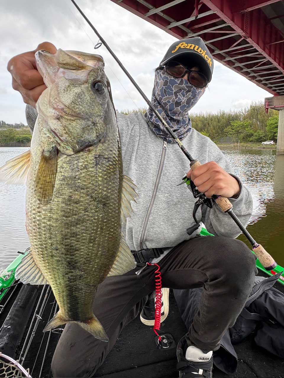 フィールドの様子