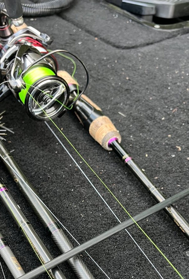 フィールドの様子