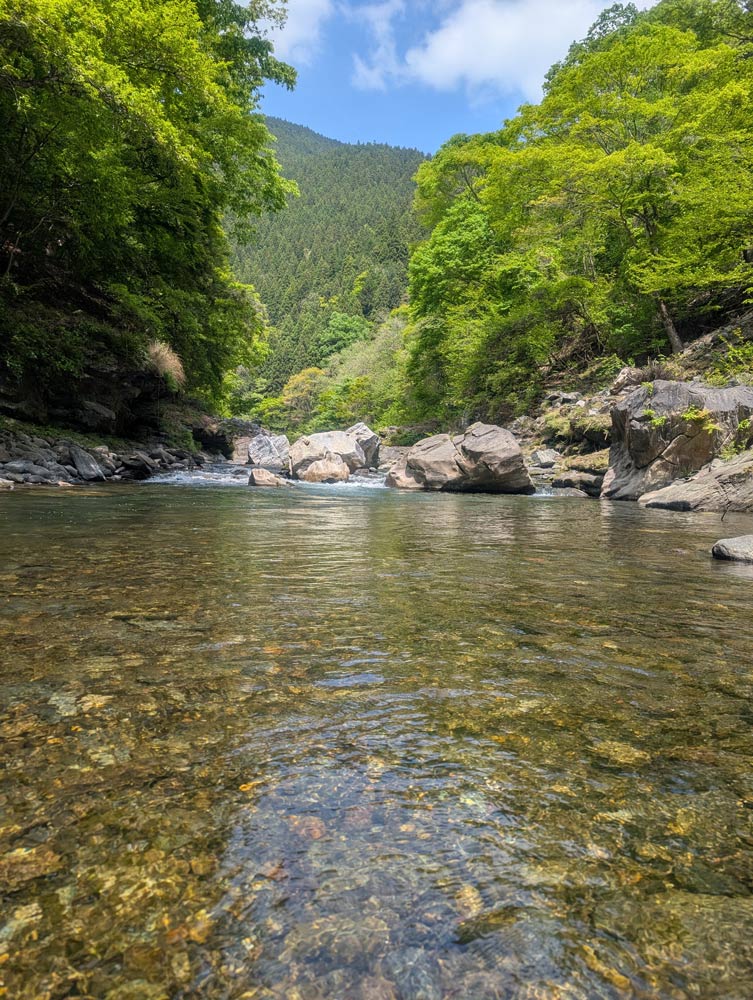 フィールドの様子