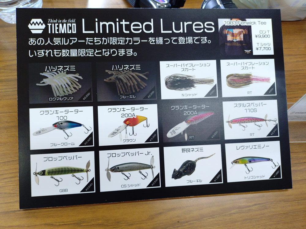 フィールドの様子