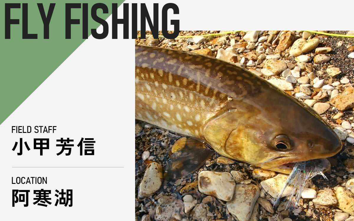 記事メイン画像