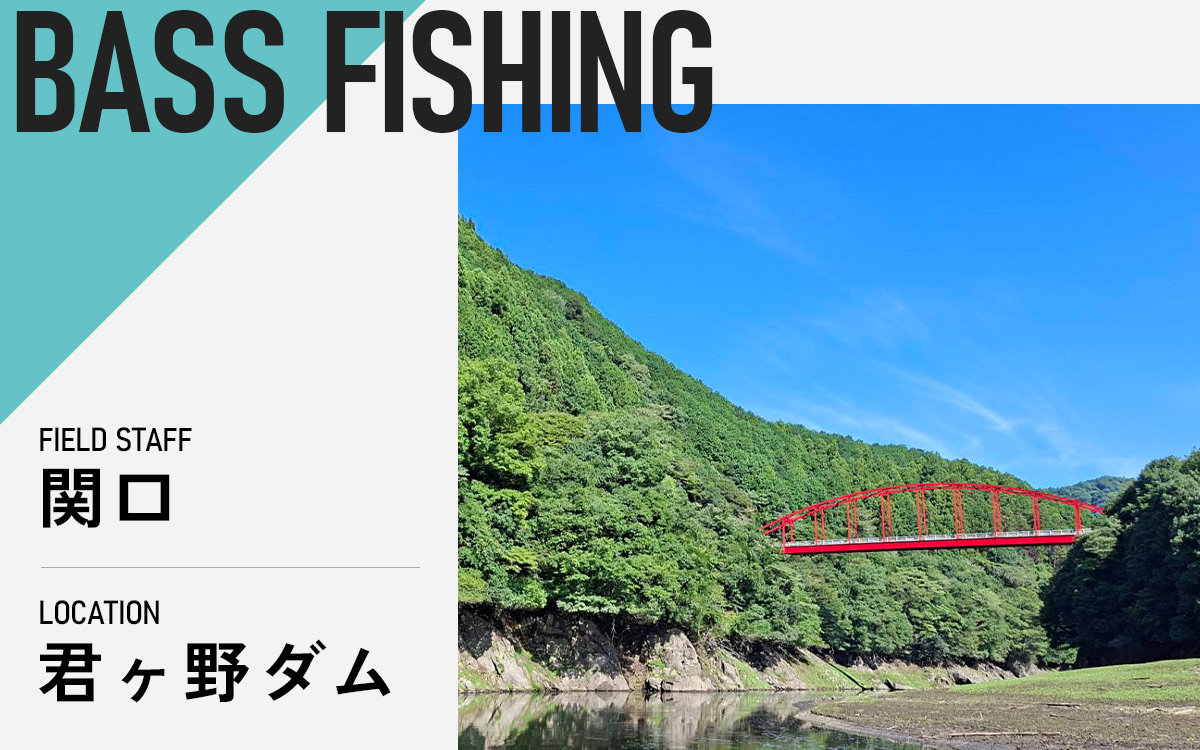 記事メイン画像