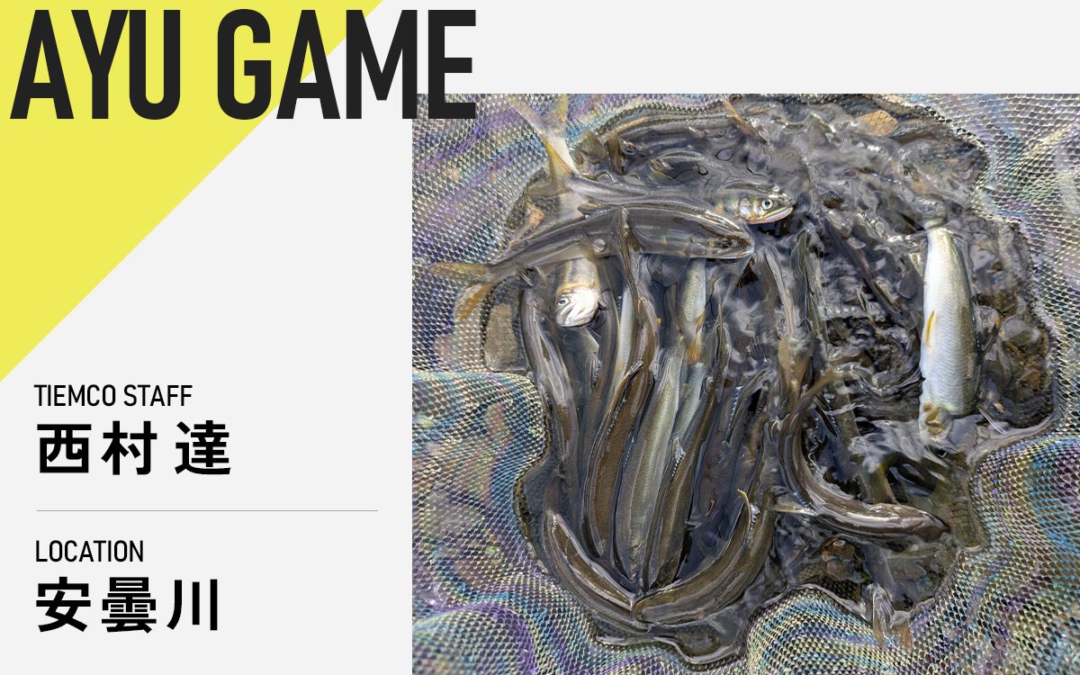 記事メイン画像