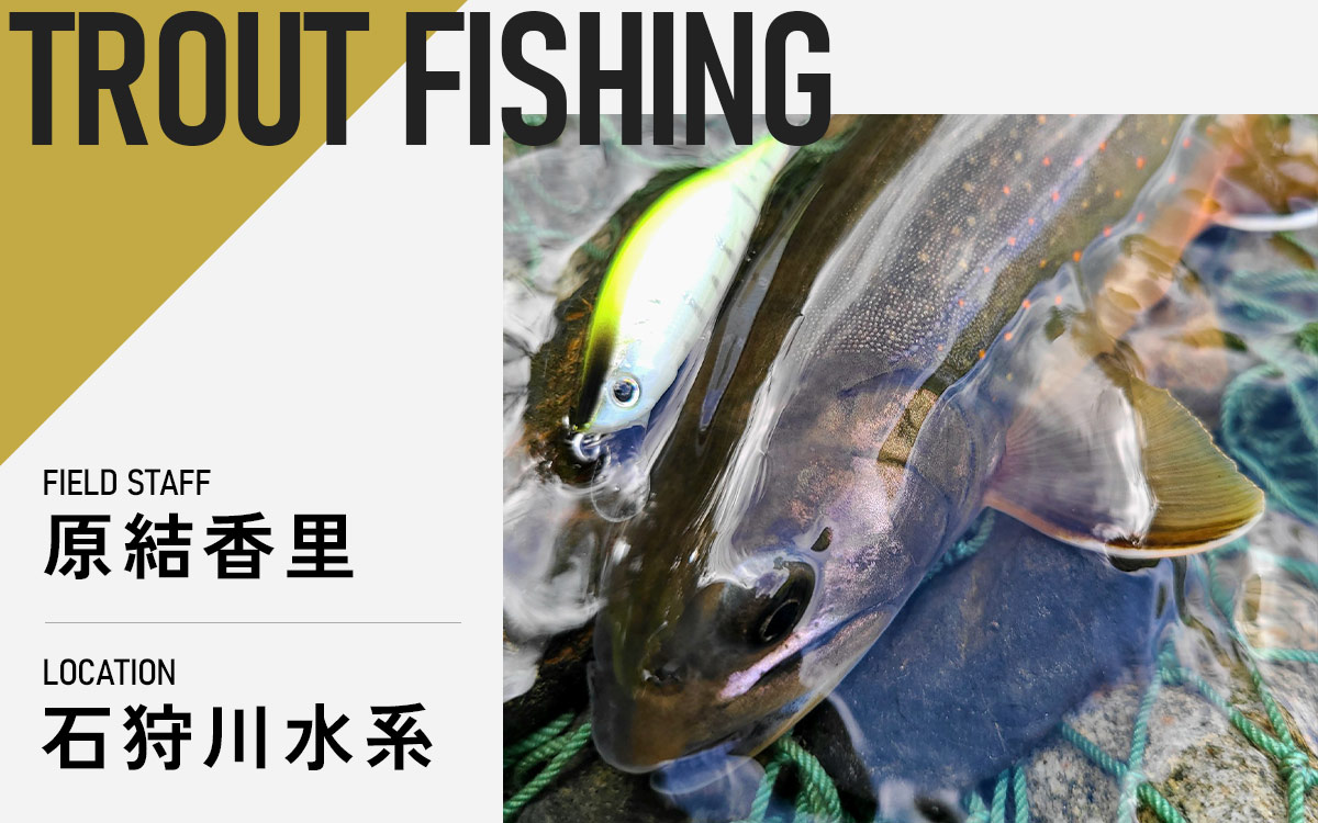 記事メイン画像